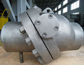 Check Valves