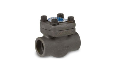 CS Swing Check Valve CS Swing Check Valve