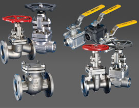 stainless steel valves
